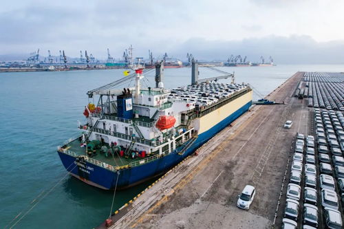 融合发力 山东港口商品车跨境海上滚装运输再添新通道